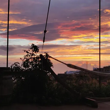 The Lemon Factory Chío