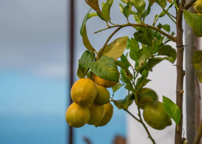 Horská chata The Lemon Factory