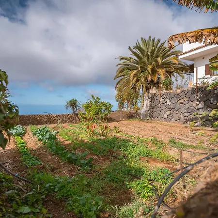 The Lemon Factory Chalet Chio (Tenerife)