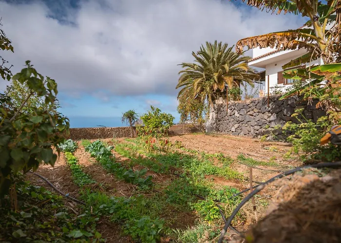 The Lemon Factory Chalet Chio (Tenerife)